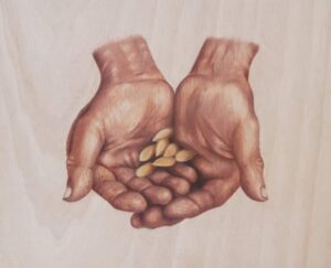 Exposição - Entre o silêncio e a luz