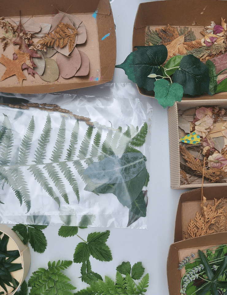 A Arte é um Fenómeno: Imprimir a Natureza