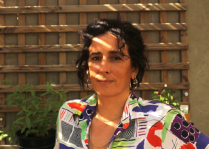 Festival Sons do Vez 2026 | A Garota Não + Amy Rigby